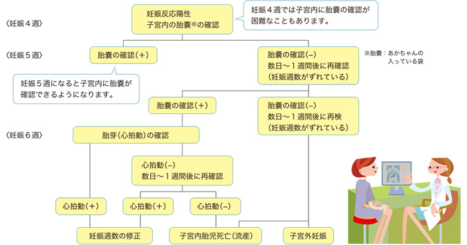 どんな診察や検査をうけるのか？（妊娠4～6週）